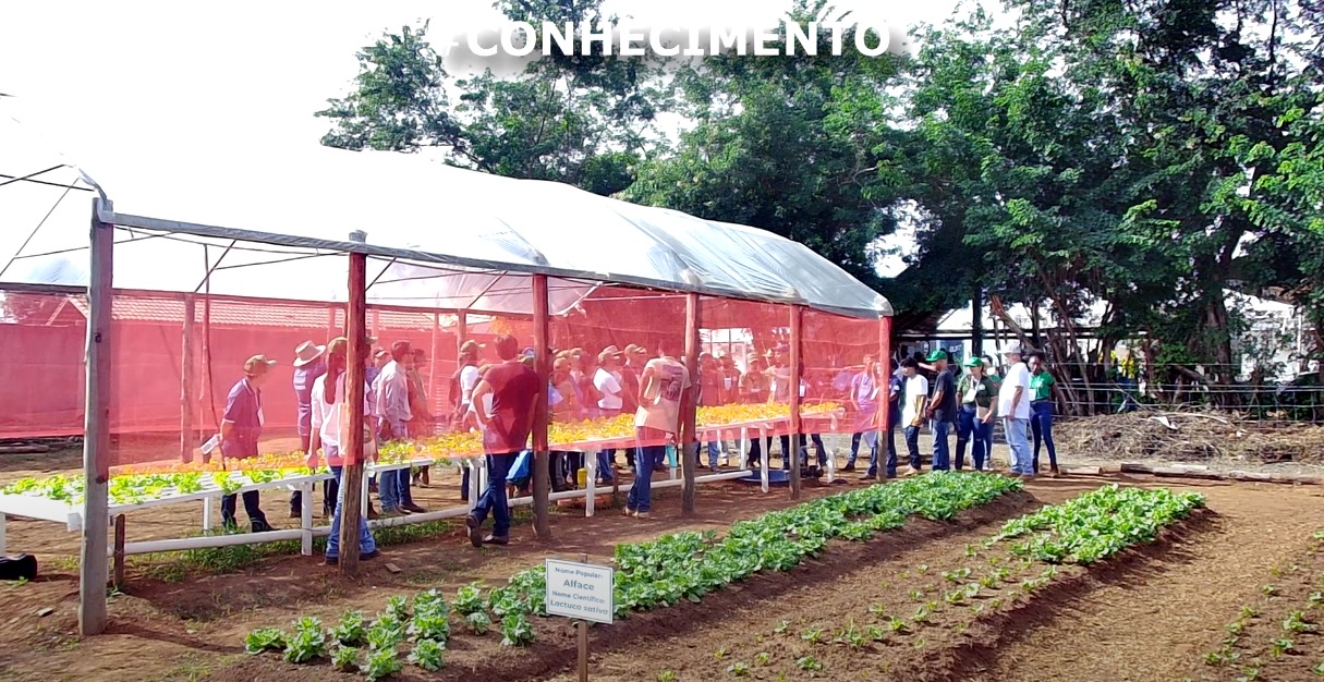 Agrosudeste 2023 | Dia de Campo da Horticultura